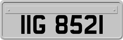 IIG8521