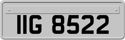 IIG8522
