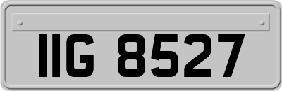 IIG8527