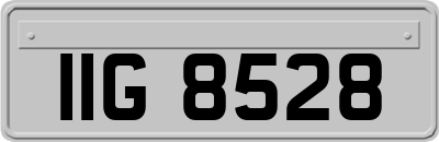 IIG8528