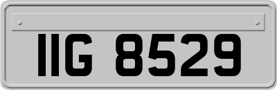 IIG8529