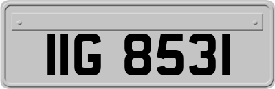 IIG8531