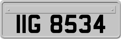 IIG8534