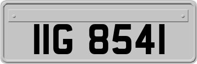 IIG8541