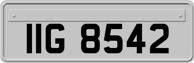 IIG8542