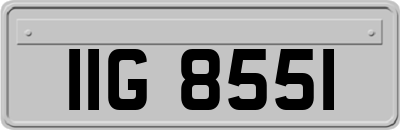 IIG8551