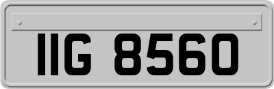 IIG8560