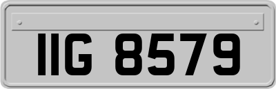 IIG8579