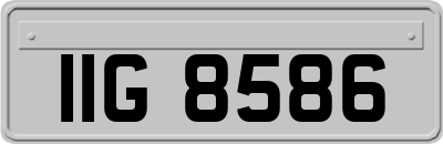 IIG8586