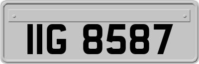 IIG8587
