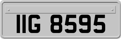 IIG8595