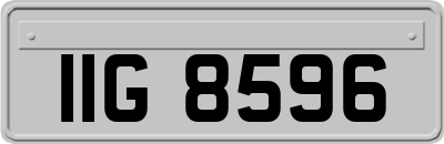 IIG8596