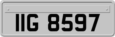 IIG8597