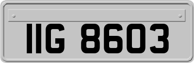 IIG8603