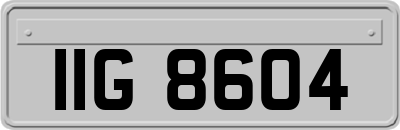 IIG8604