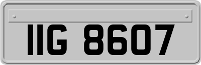 IIG8607