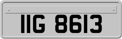 IIG8613