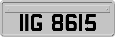 IIG8615