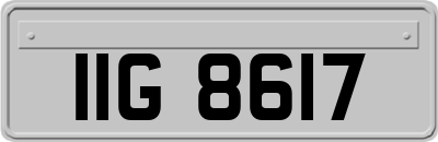 IIG8617