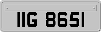 IIG8651