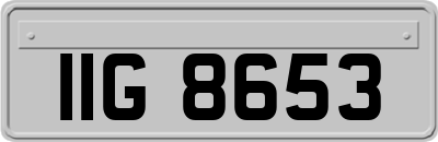 IIG8653