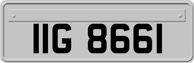 IIG8661
