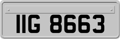 IIG8663