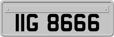 IIG8666