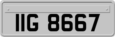 IIG8667