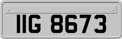 IIG8673