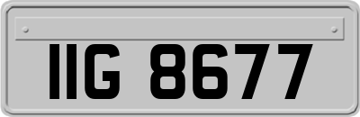 IIG8677