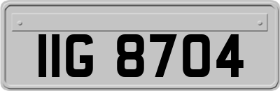 IIG8704