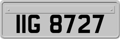 IIG8727