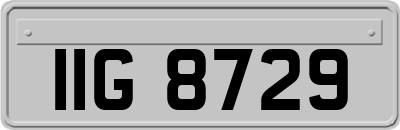 IIG8729