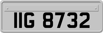 IIG8732