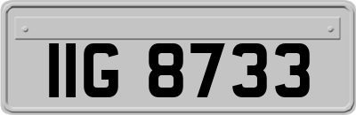 IIG8733