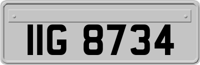 IIG8734