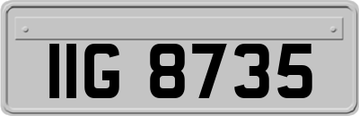 IIG8735