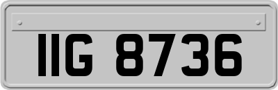 IIG8736