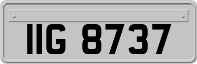 IIG8737