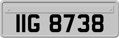 IIG8738