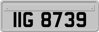 IIG8739