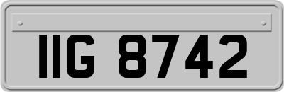 IIG8742