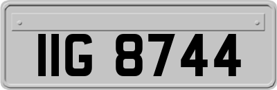 IIG8744