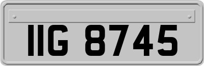 IIG8745