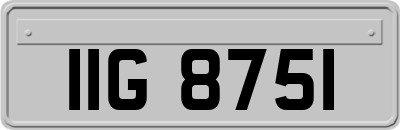 IIG8751