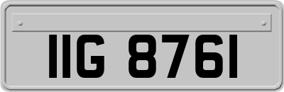 IIG8761