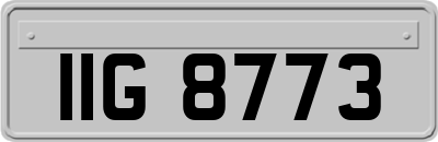IIG8773