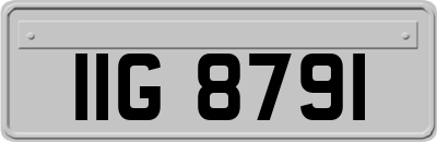 IIG8791