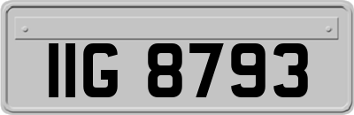 IIG8793